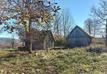 447299-Vorschaubild2