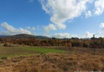 447299-Vorschaubild3