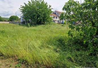 489103-Vorschaubild2
