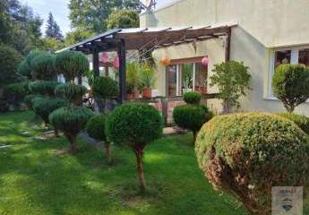 473489-Vorschaubild2