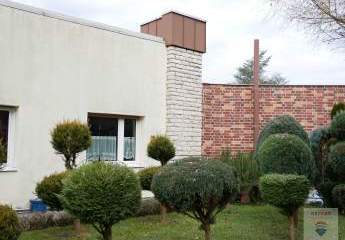 473489-Vorschaubild4