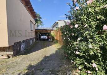449713-Vorschaubild3
