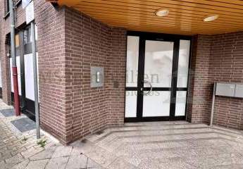 449722-Vorschaubild4