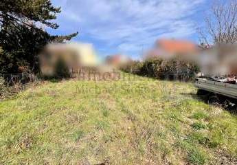 479577-Vorschaubild2