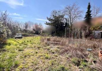 479577-Vorschaubild3