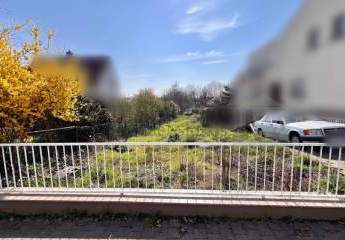 479577-Vorschaubild4