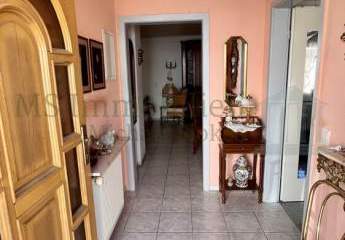 483404-Vorschaubild3