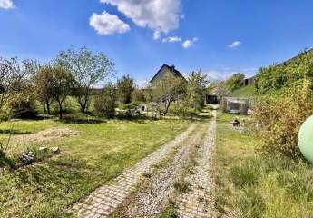 484721-Vorschaubild4