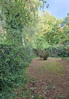 448240-Vorschaubild3