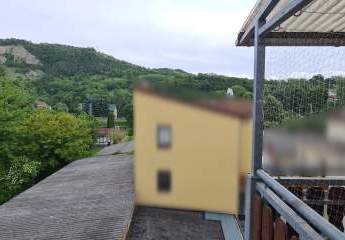 447291-Vorschaubild3