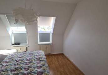 447293-Vorschaubild3