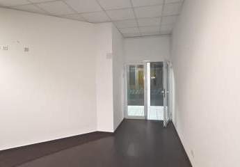 447319-Vorschaubild4
