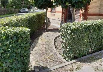 475260-Vorschaubild3