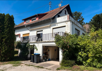 447886-Vorschaubild2