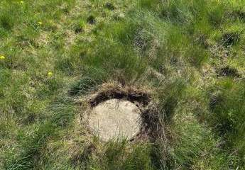 448336-Vorschaubild2