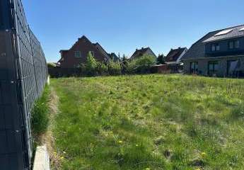 448336-Vorschaubild4