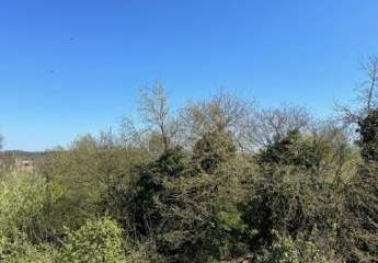 485318-Vorschaubild3