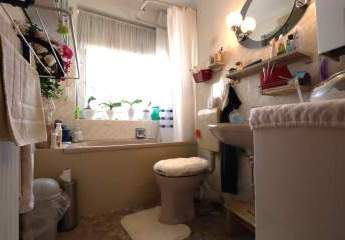 457681-Vorschaubild3