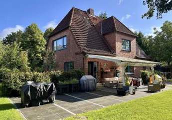 451066-Vorschaubild2