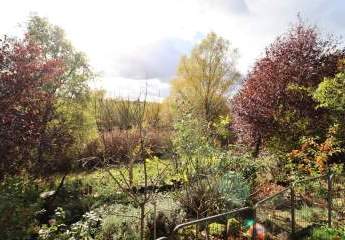 456547-Vorschaubild4