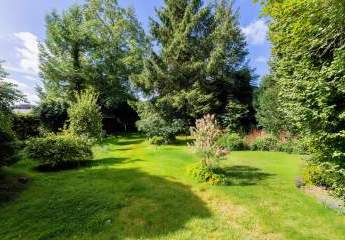 457101-Vorschaubild2