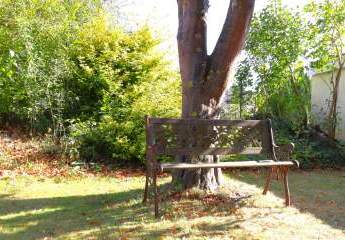 451160-Vorschaubild4