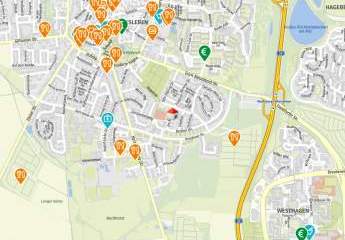 466912-Vorschaubild3