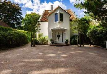 449451-Vorschaubild4