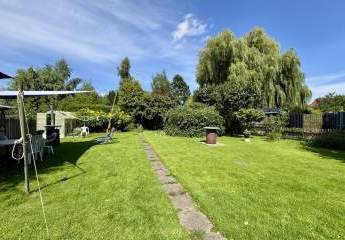 458185-Vorschaubild3