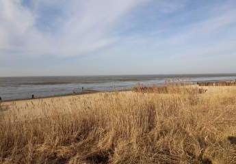 468240-Vorschaubild3