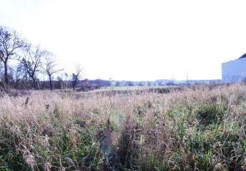 Ausgleichfläche/Grundstück für eine Nutzungsänderung oder als Weidefläche/Wiese uvm.