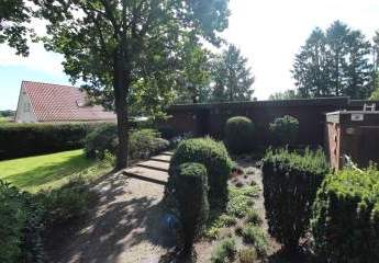 469907-Vorschaubild2