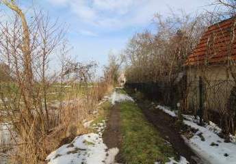 472735-Vorschaubild4