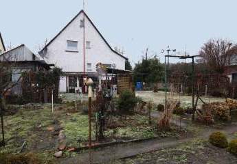 473136-Vorschaubild3