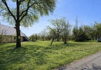 473482-Vorschaubild3