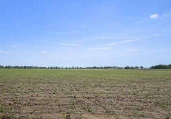 473482-Vorschaubild4