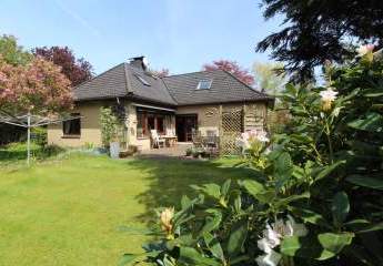 473895-Vorschaubild3