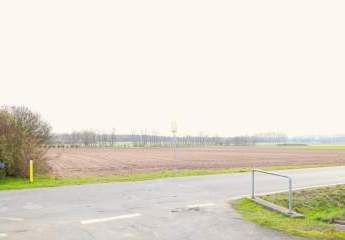 460957-Vorschaubild4