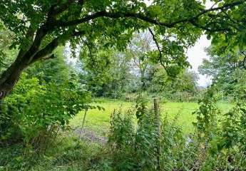 475843-Vorschaubild4