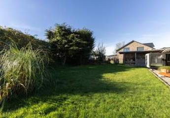 476254-Vorschaubild3