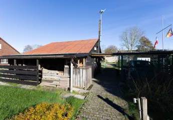 476254-Vorschaubild4