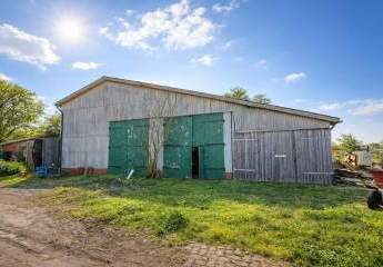 476325-Vorschaubild3