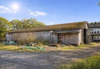 476325-Vorschaubild4