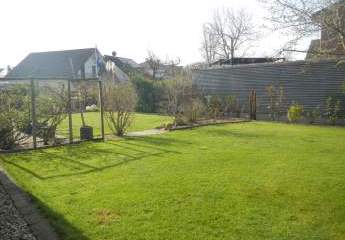 475390-Vorschaubild3