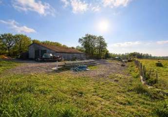 476325-Vorschaubild2