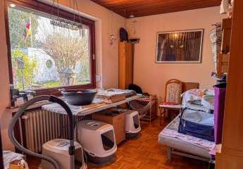 479153-Vorschaubild4