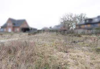 481048-Vorschaubild4