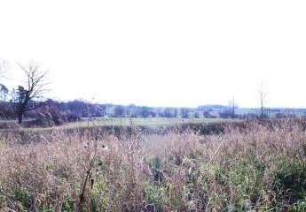 468260-Vorschaubild2