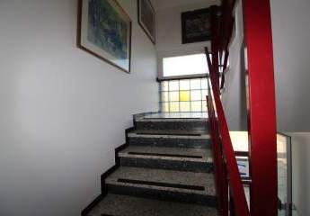 462213-Vorschaubild4