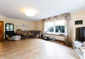 481688-Vorschaubild2